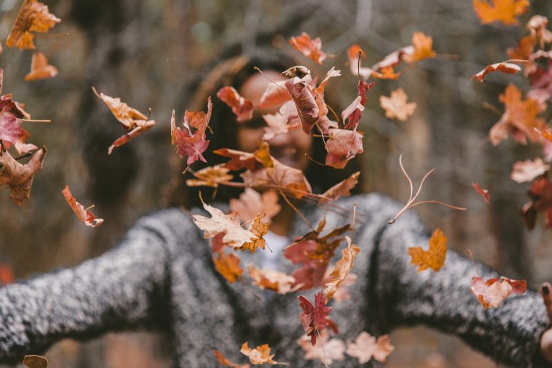 22 Fun Fall Activities to Enjoy Before the Season Ends